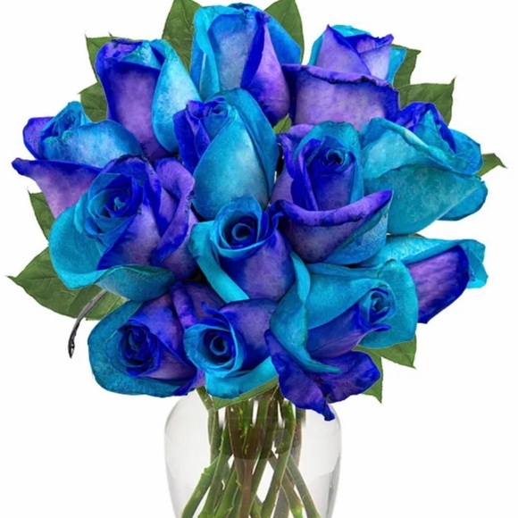 🌻LIVE SHOW TO BE ANNOUNCED 🌻 - Picture 2 of 2